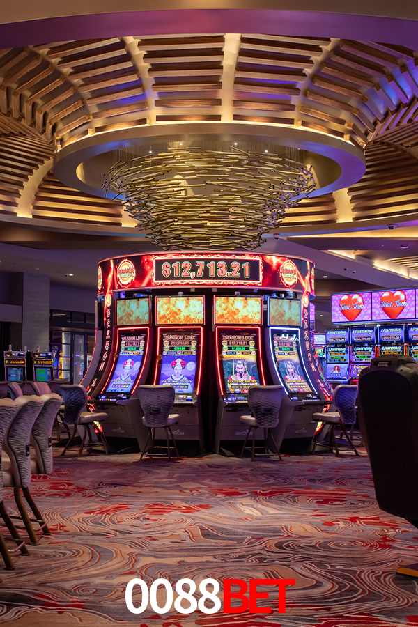 0088Bet: A Experiência de Casino com Jogos de Mesa ao Vivo